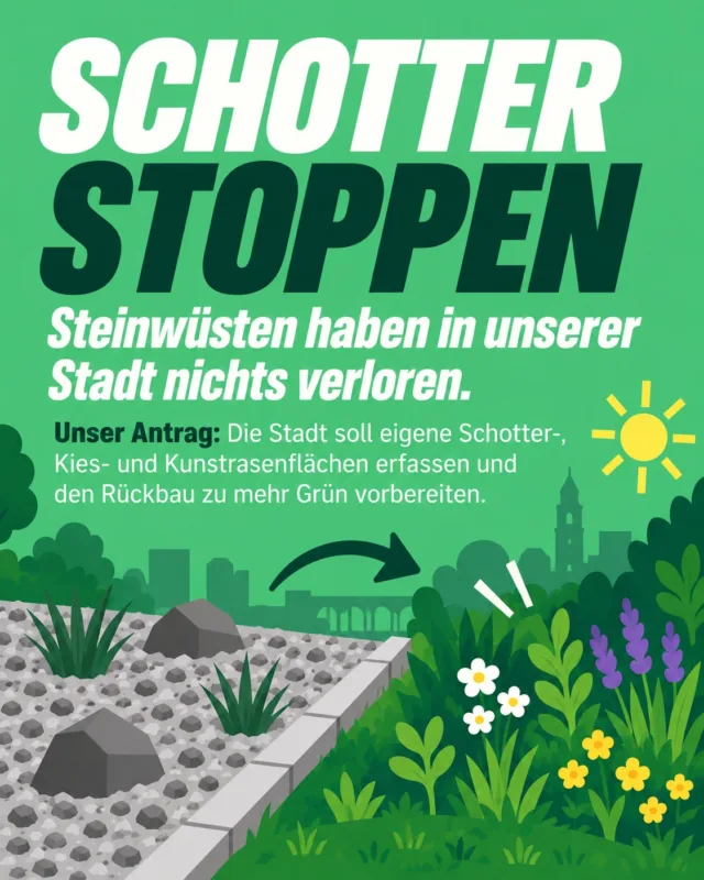 Schotterflächen auf städtischem Grund: Wir wollen wissen, wo sie liegen – und wo Begrünung möglich ist.

Mit unserem Antrag schlagen wir vor, die städtischen Schotter-, Kies- und Kunstrasenflächen in Leverkusen systematisch zu erfassen. Anschließend soll geprüft werden, welche dieser Flächen schrittweise zurückgebaut und begrünt werden können. Außerdem soll die Verwaltung innerhalb von sechs Monaten über den Bestand berichten und ein Konzept für das weitere Vorgehen vorlegen. 

Hintergrund ist auch das Begrünungsgebot der Landesbauordnung NRW: Seit der Novellierung zum 1. Januar 2024 werden Schotterflächen und Kunstrasen ausdrücklich nicht als zulässige Begrünung unbebauter Grundstücksflächen eingeordnet. 

Unser Ansatz: erst die eigenen Flächen in den Blick nehmen und dort prüfen, wo
aus Grau wieder Grün werden kann.
